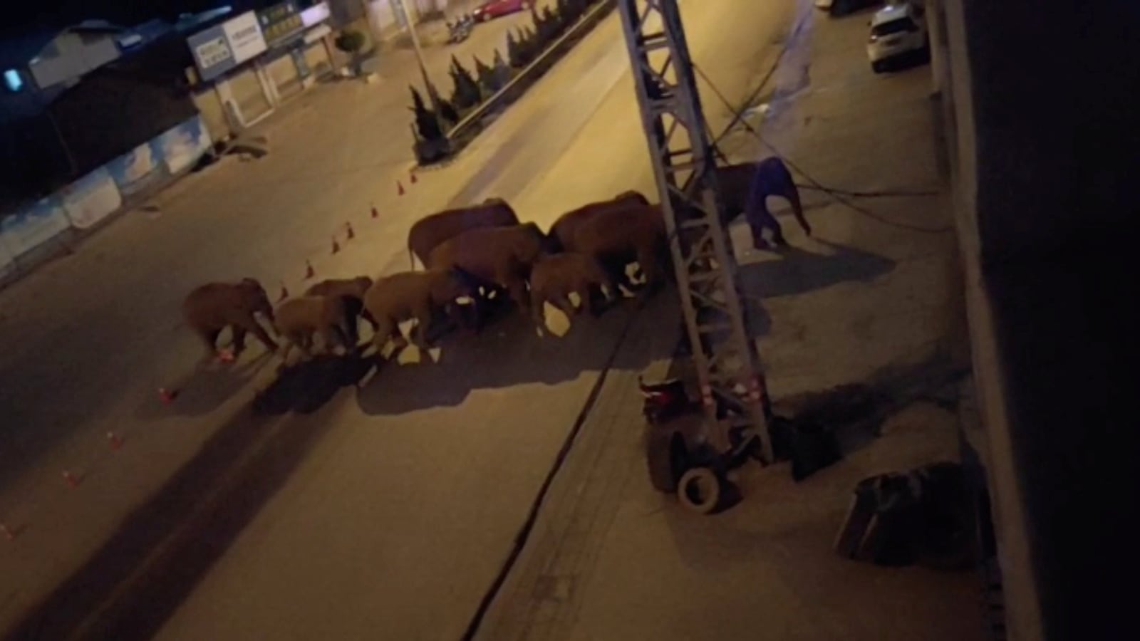 2021-05-28T050452Z_1134420572_RC2TON9K9L6V_RTRMADP_3_CHINA-ELEPHANTS_ko95op