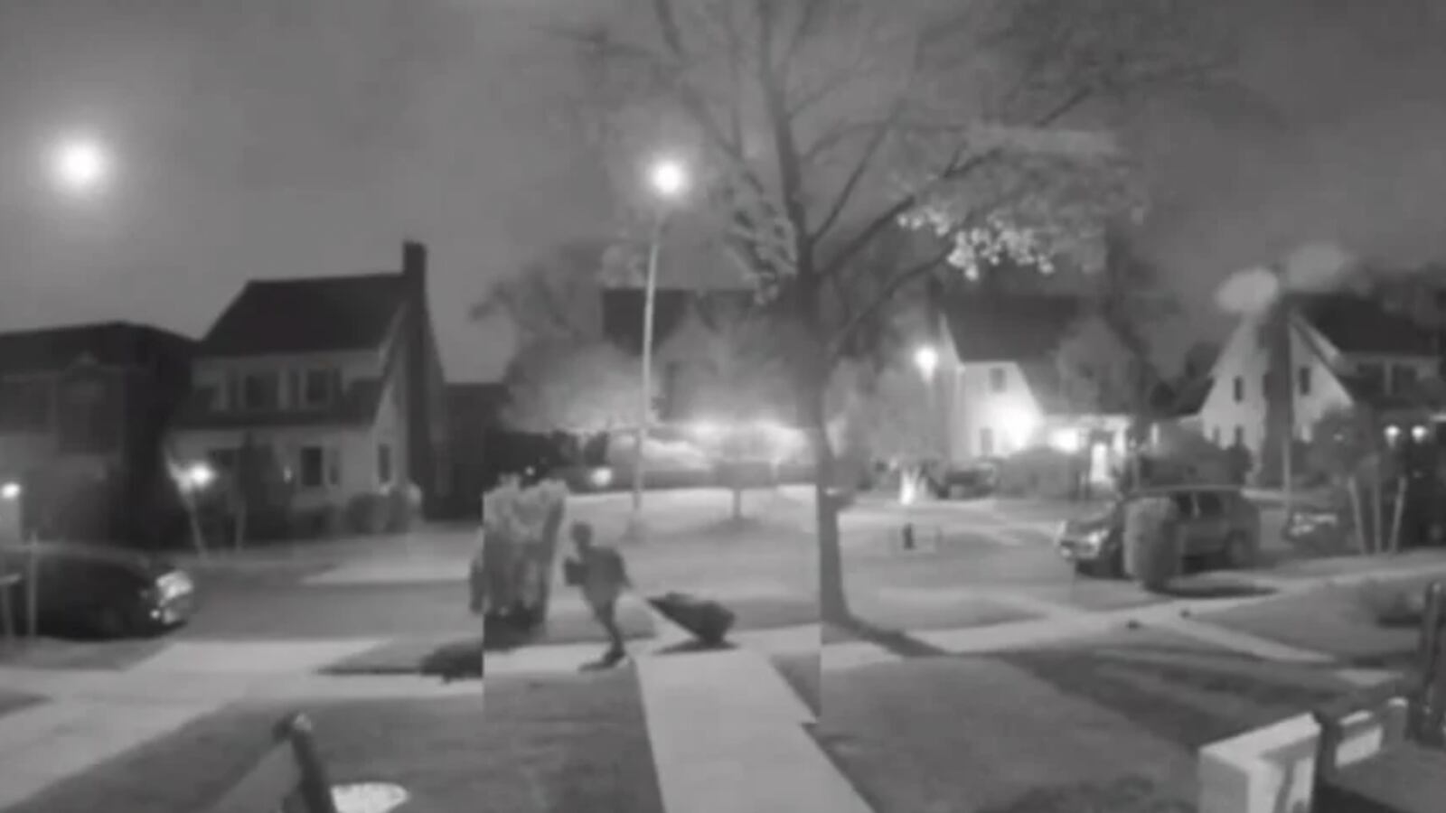 Screen_Shot_2022-04-18_at_11.57.39_AM_ruppau