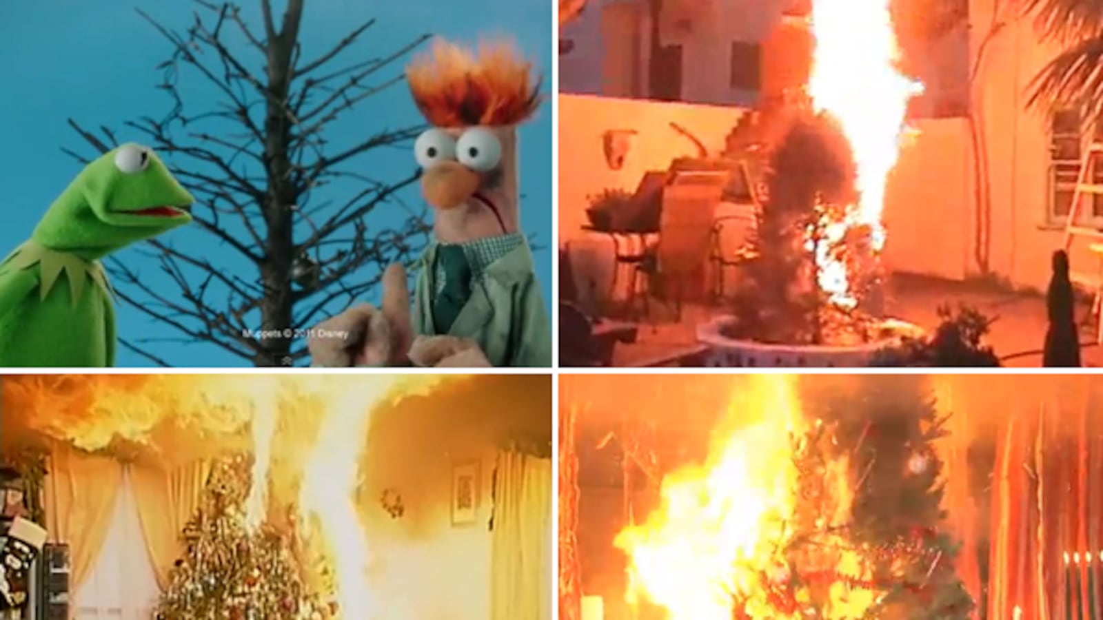 articles/2011/12/21/christmas-trees-on-fire-the-best-psa-video/tree-fire-psa-teaser_nrypfy