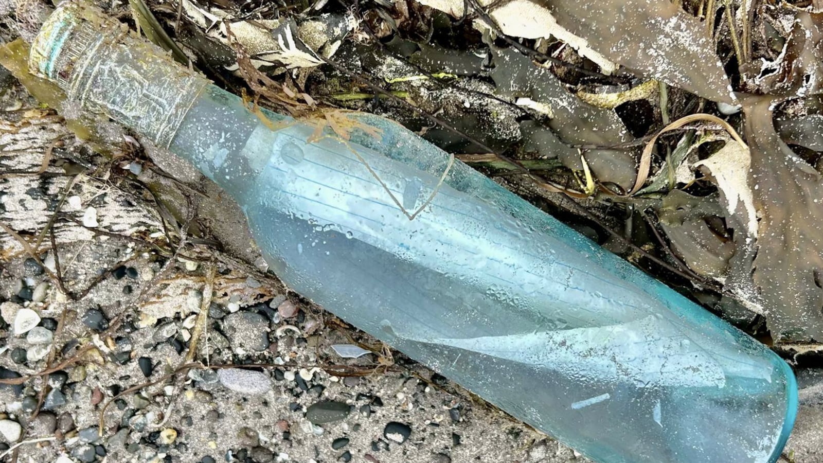 The discovered bottle.