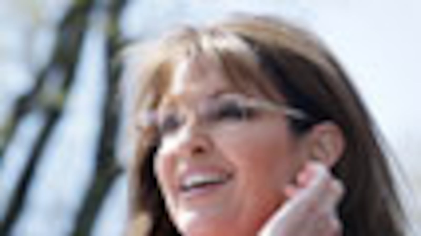cheats/2010/04/19/palin-pac-stiffs-candidates/palin-3_vgyfef