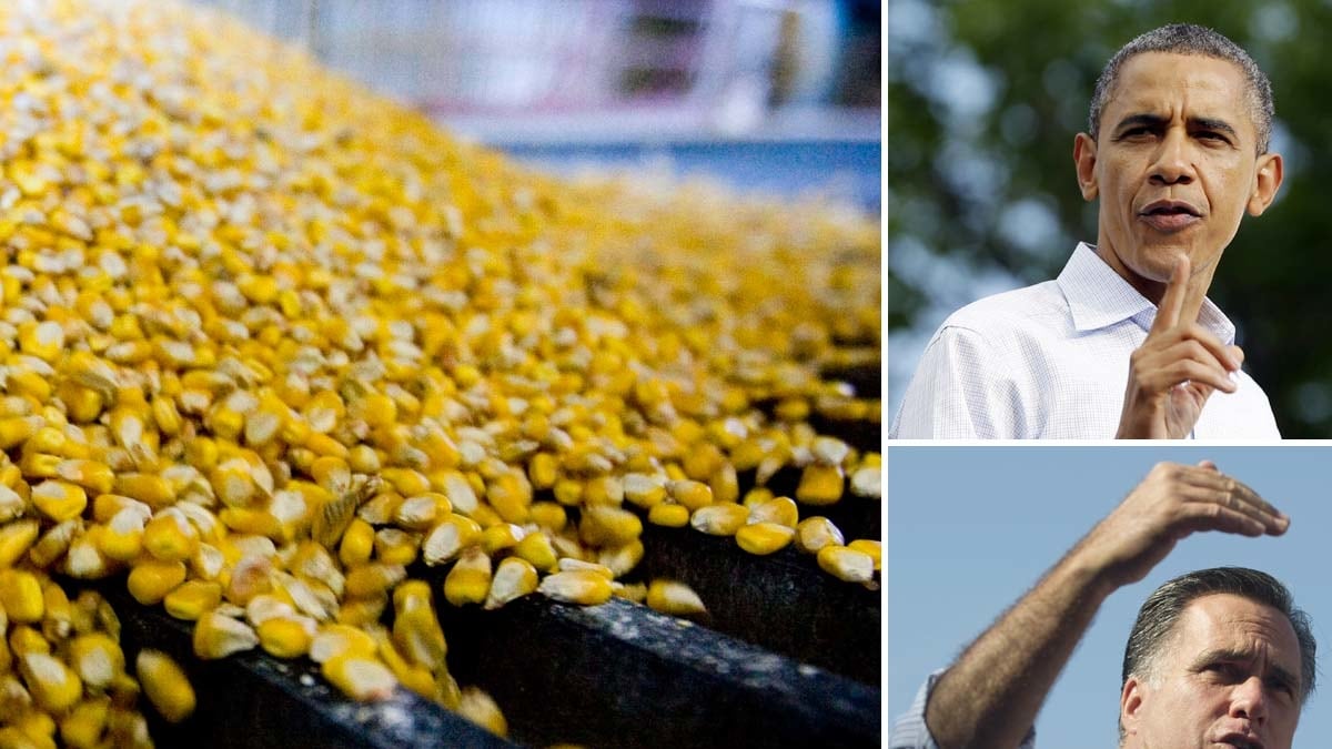 articles/2012/09/05/democrats-and-republicans-support-harmful-ethanol-subsidies-for-the-sake-of-votes/bryce-ethonal-romney-obama-tease-embed_c1nazc
