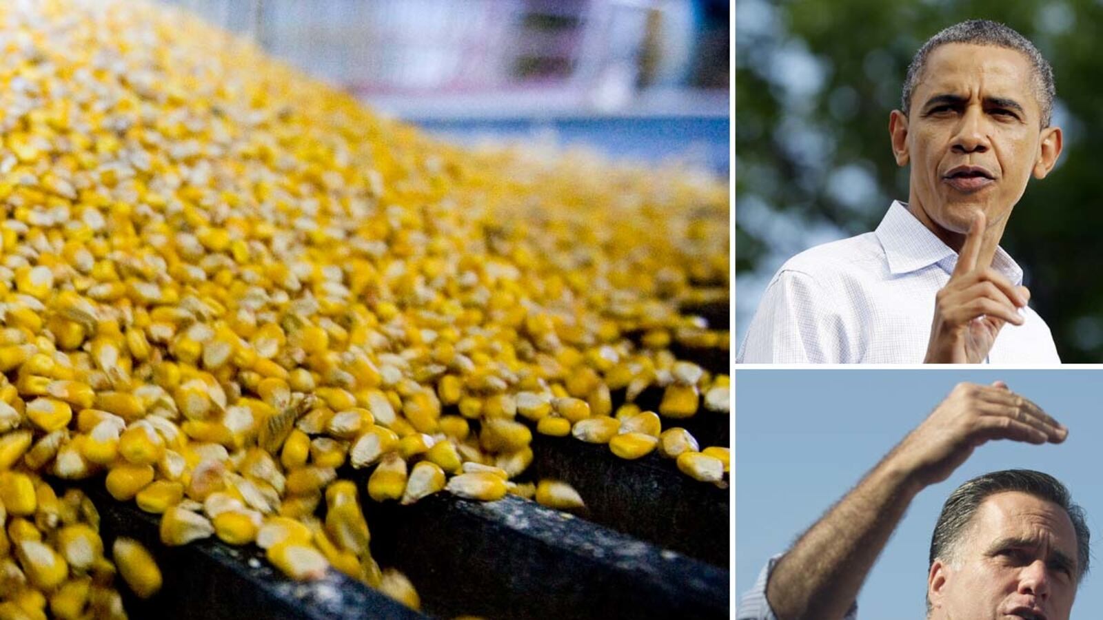 articles/2012/09/05/democrats-and-republicans-support-harmful-ethanol-subsidies-for-the-sake-of-votes/bryce-ethonal-romney-obama-tease-embed_c1nazc