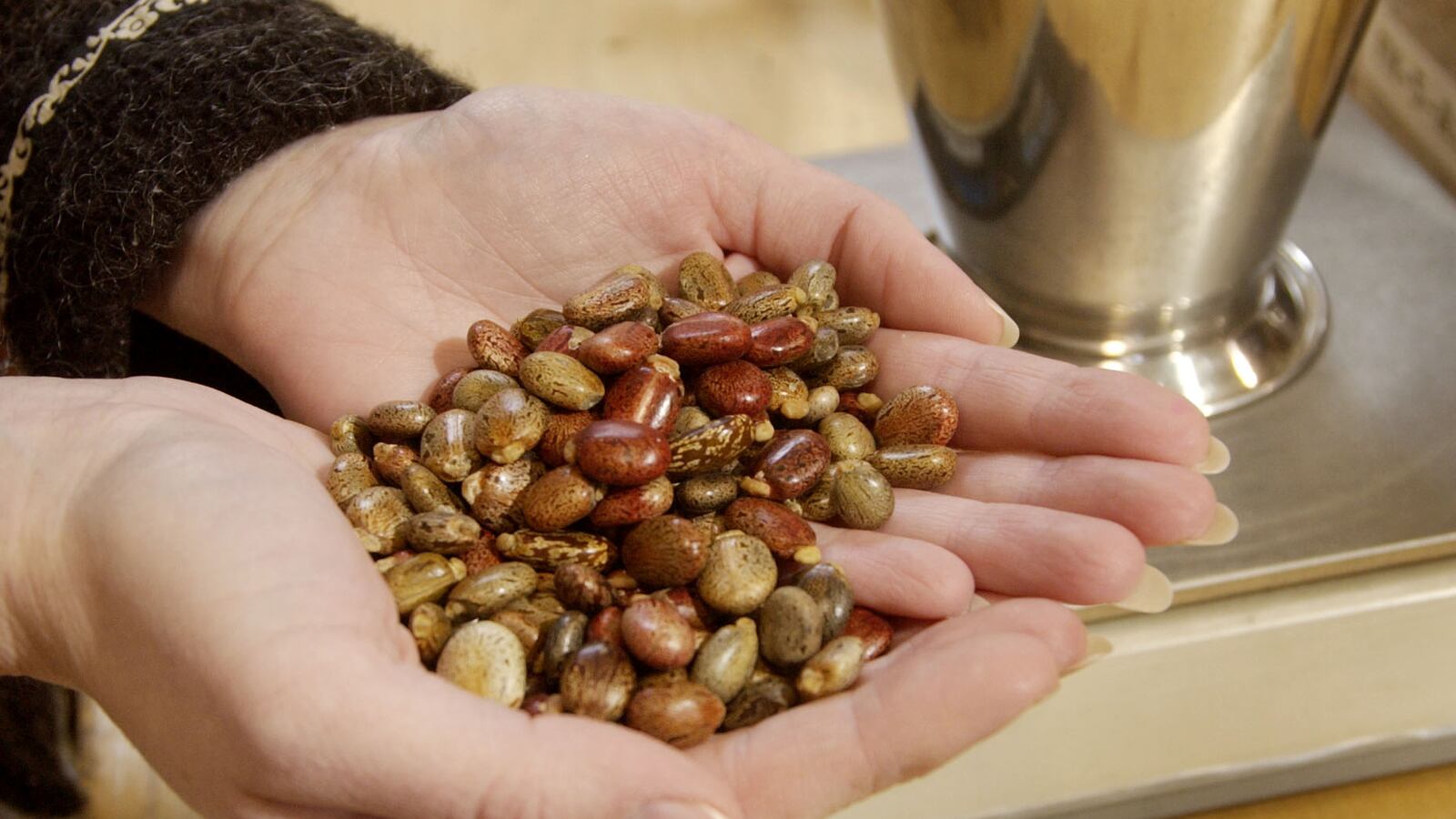 cheats/2013/05/22/ricin-letter-suspect-indicted/130417-Dickson-Ricin-embed_eytf3l