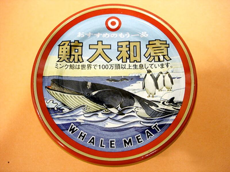 galleries/2010/07/13/canned-foods/canned-food---whale-meat_pgr2el