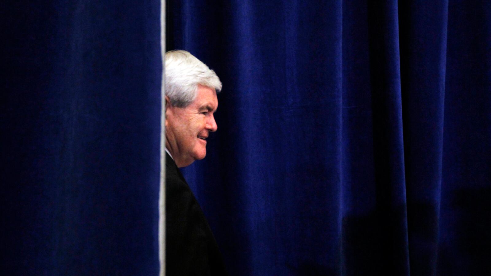 articles/2012/01/30/newt-rises-until-republicans-president-gingrich/hot-cold-newt-jacobs_yaierf
