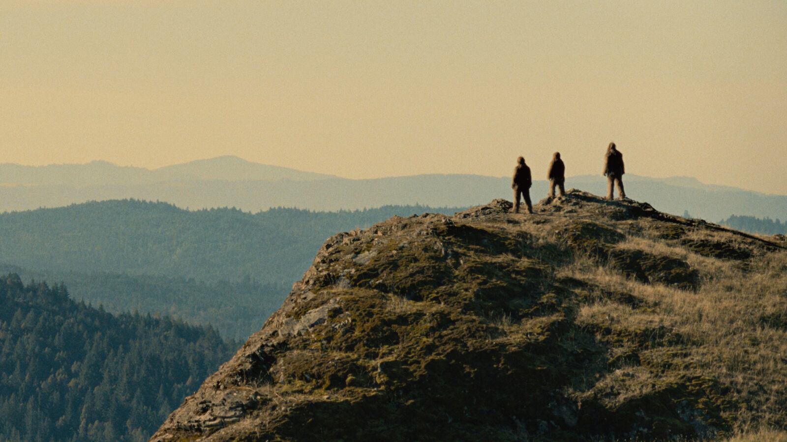 A still from Sasquatch Sunset.
