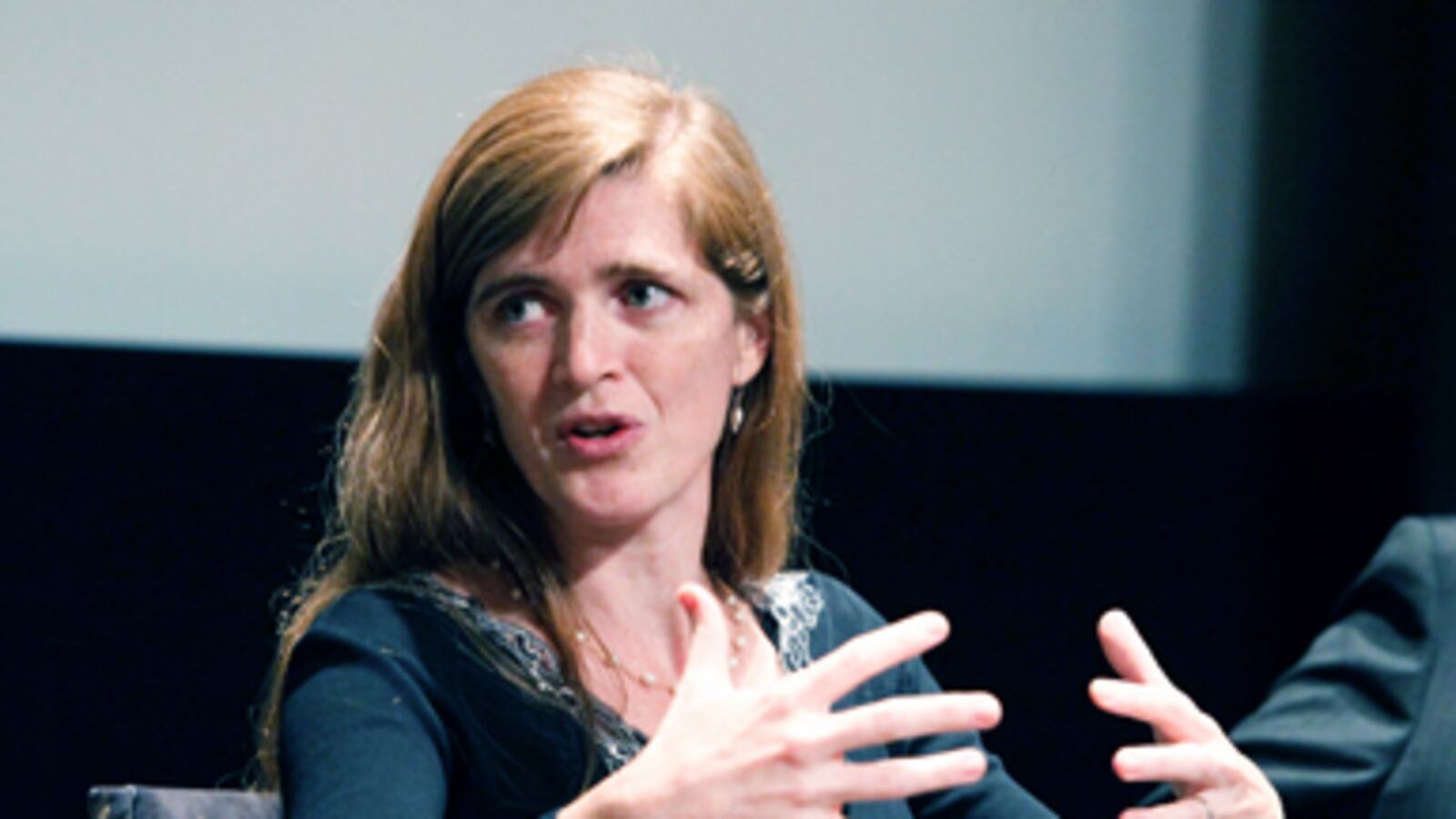 articles/2011/03/23/libya-war-samantha-power-and-the-case-for-liberal-interventionism/mcelvey-power_168451_opo3es