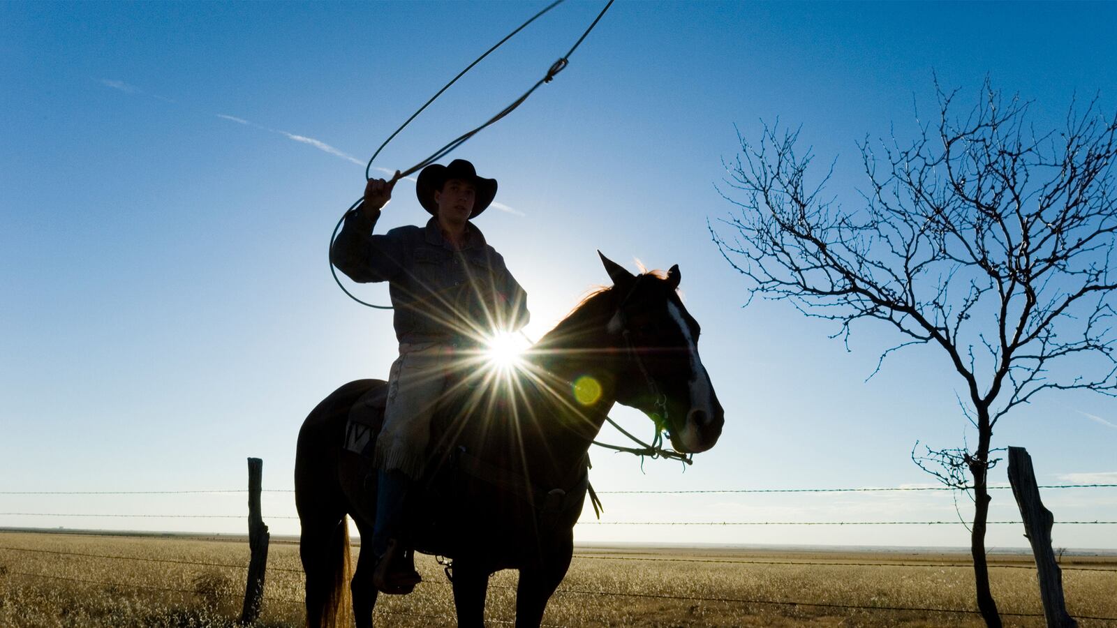 articles/2014/12/29/will-texas-stay-texan/141228-fontana-texas-tease_w2gswt