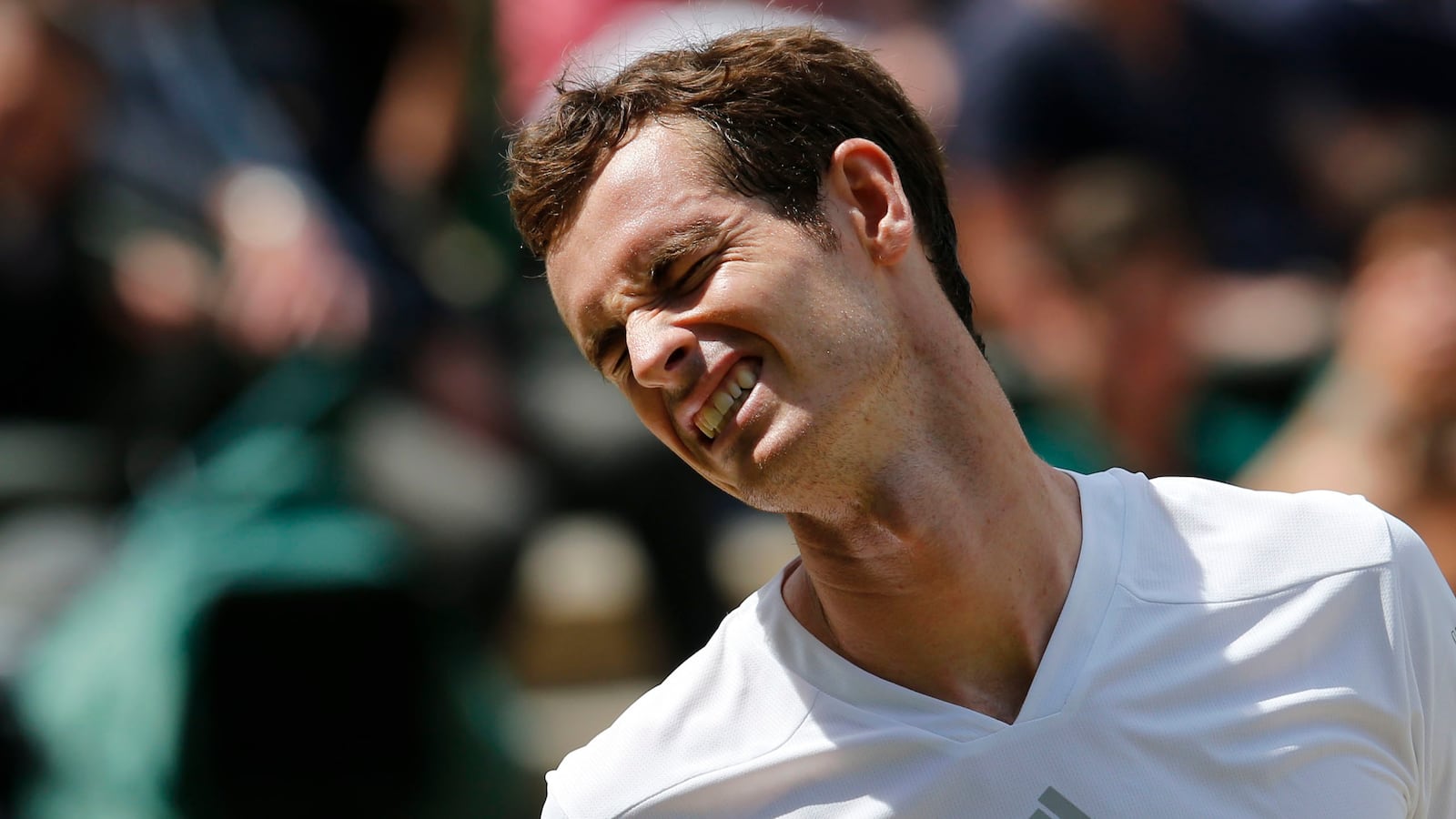 cheats/2014/07/02/andy-murray-bounced-out-of-wimbledon/140702-andy-murray-cheat_l0v2ob
