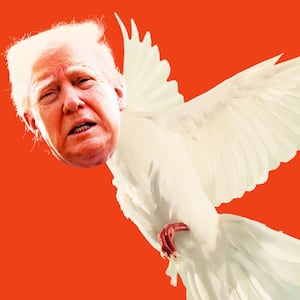 Donald Trump making a weird face on top of a white dove