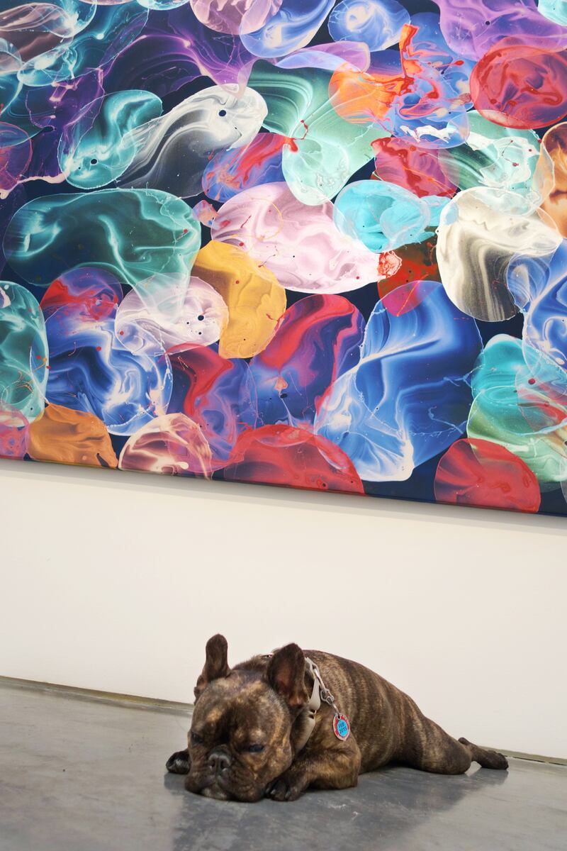 galleries/2015/03/10/meet-pickle-the-art-world-s-favorite-canine-blogger/150309-pickles-art12_ywa41b