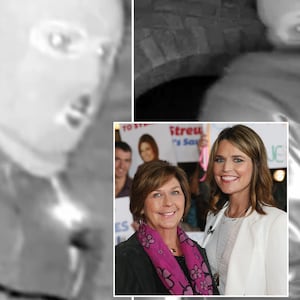 Nancy Guthrie suspect