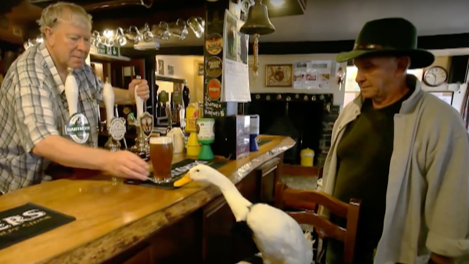 videos/2015/10/15/scrappy-duck-downs-pint-in-pub-fights-dog/20151016-drunkduck-joiner_xzciqj