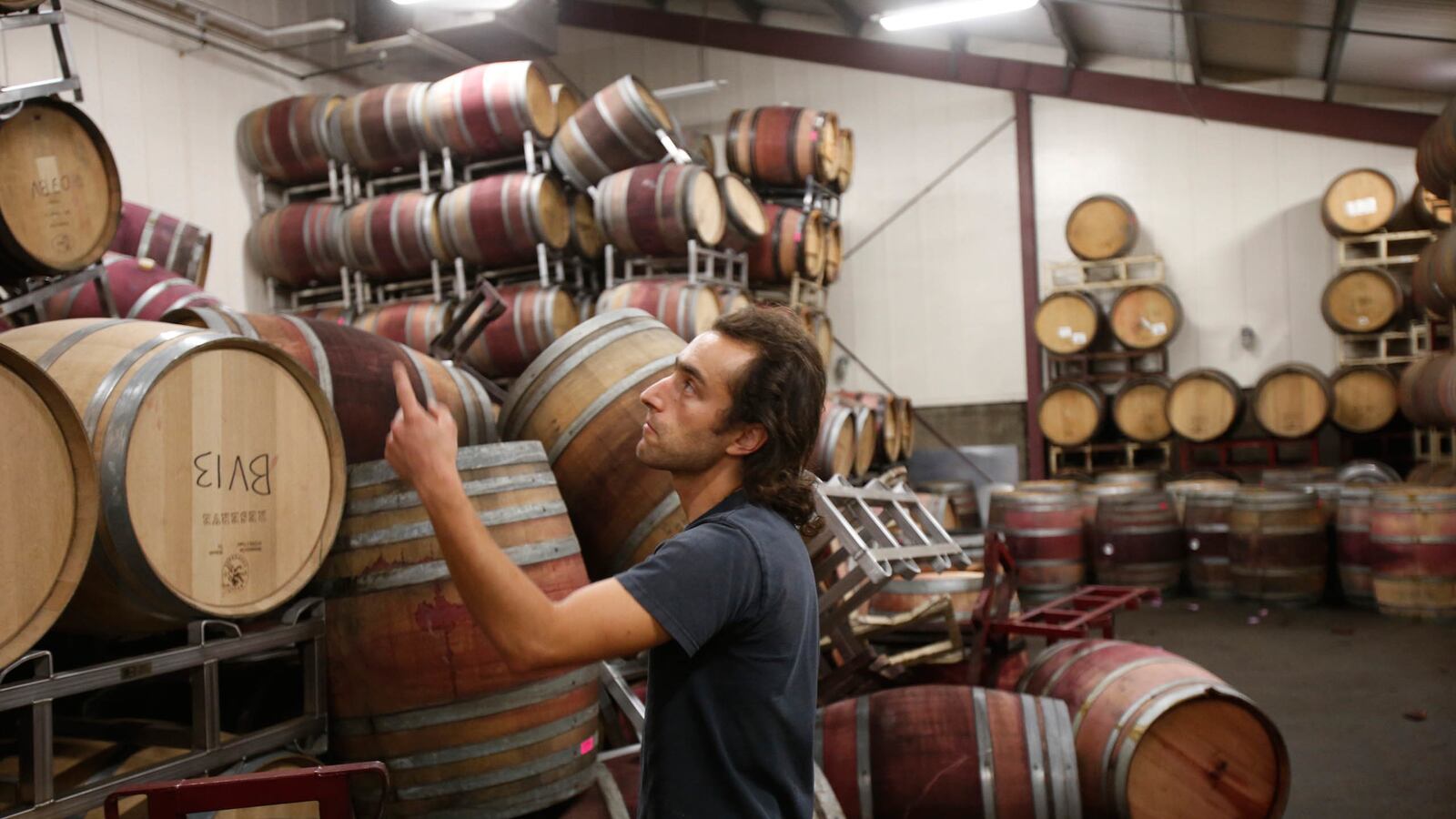 articles/2014/08/30/cleaning-up-from-napa-s-winepocalypse/140829-salcito-wine-tease_prsmrg