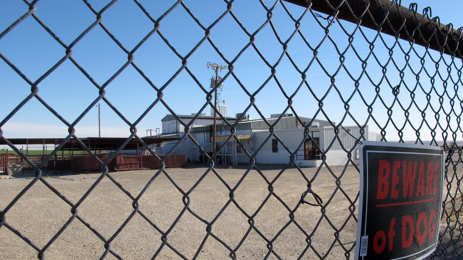 cheats/2013/06/29/u-s-horse-slaughter-back-on/130629-abq-horse-cheat_rg8kmq