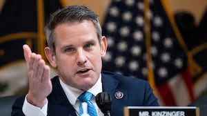 Former Rep. Adam Kinzinger