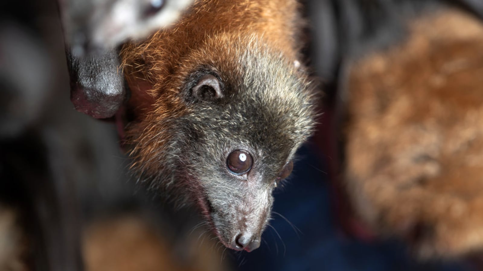 GettyImages-1204227940_o2pexo