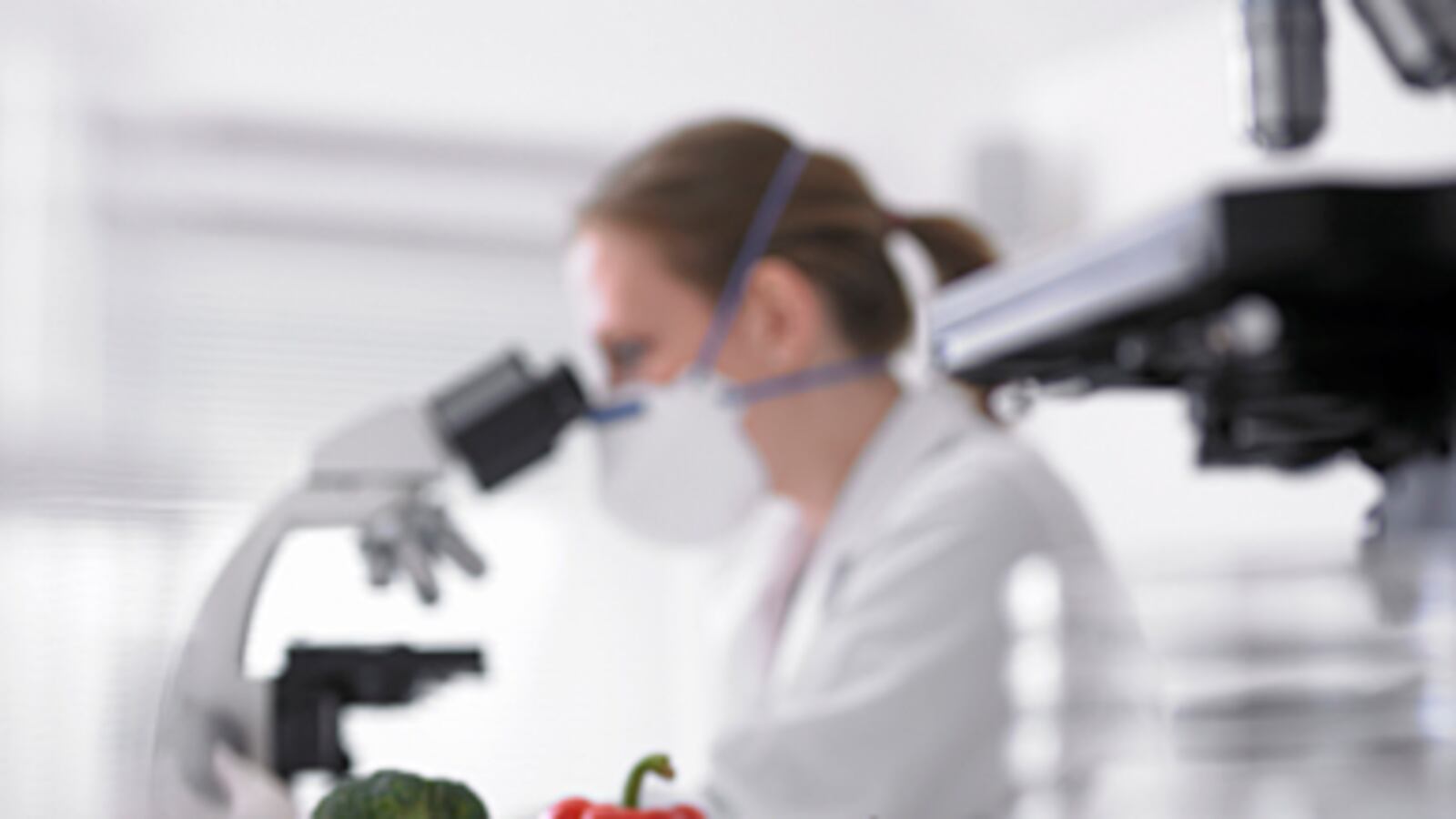 articles/2010/12/28/harvard-cooking-classes-undergrads-take-on-science-behind-food/colarusso-food-experiments_149754_ouucur