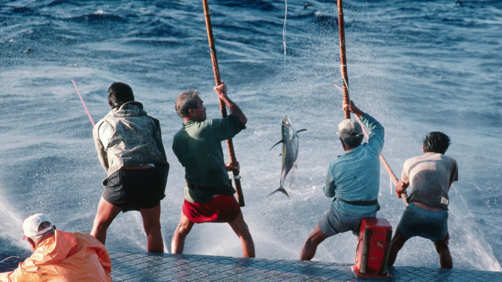 220119-fishing-hawaii-tease-02_oskklu