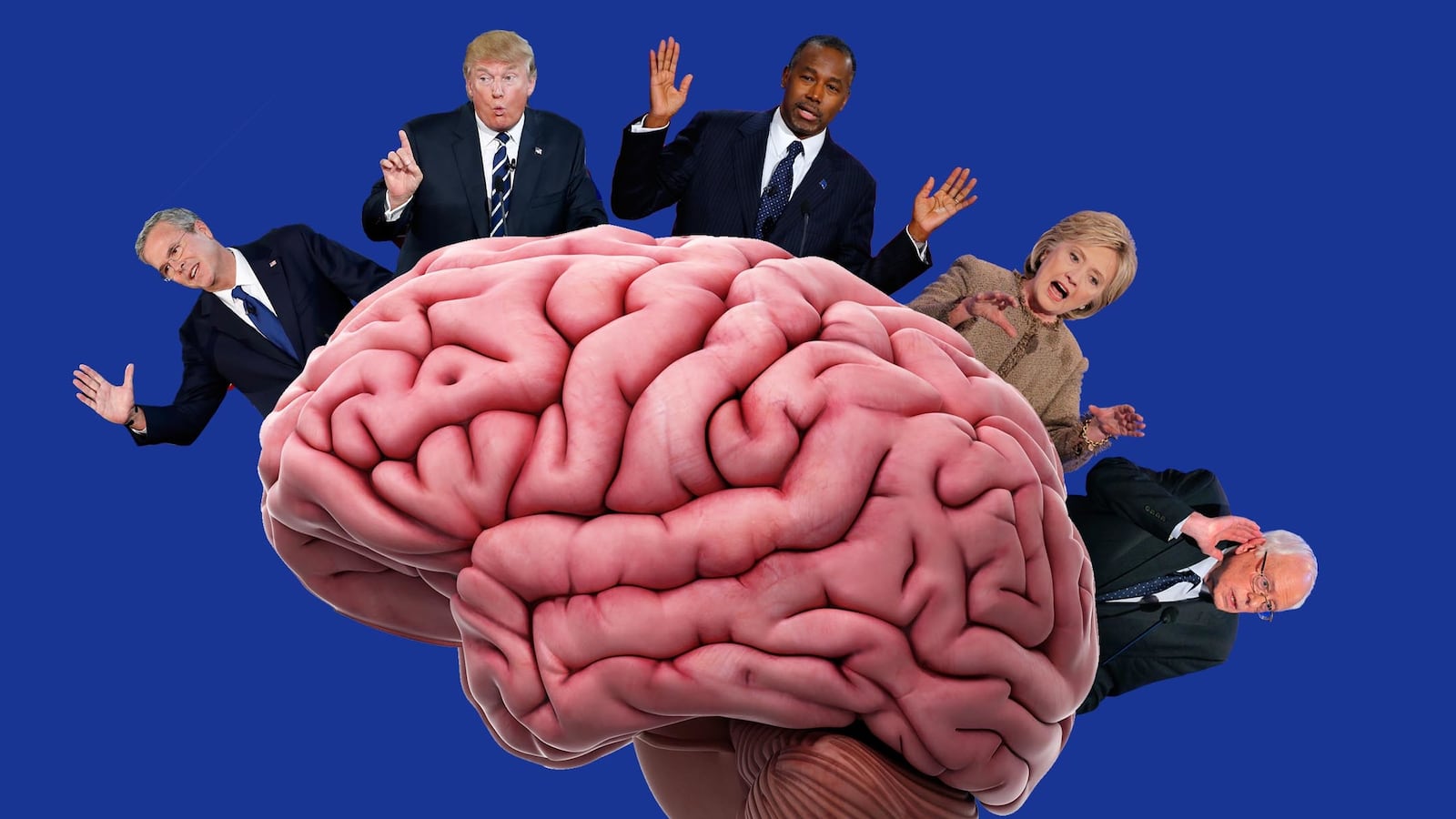 articles/2016/01/17/this-is-your-brain-on-this-election/160115-fields-election-brain-tease_wj1vjg