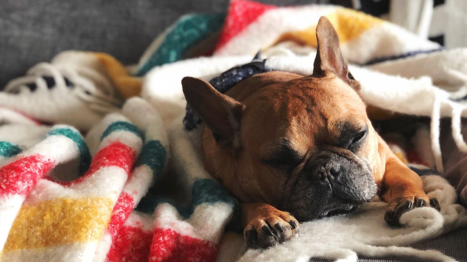 sara-farnell-Z949CS9yVEY-unsplash_cbr0qz