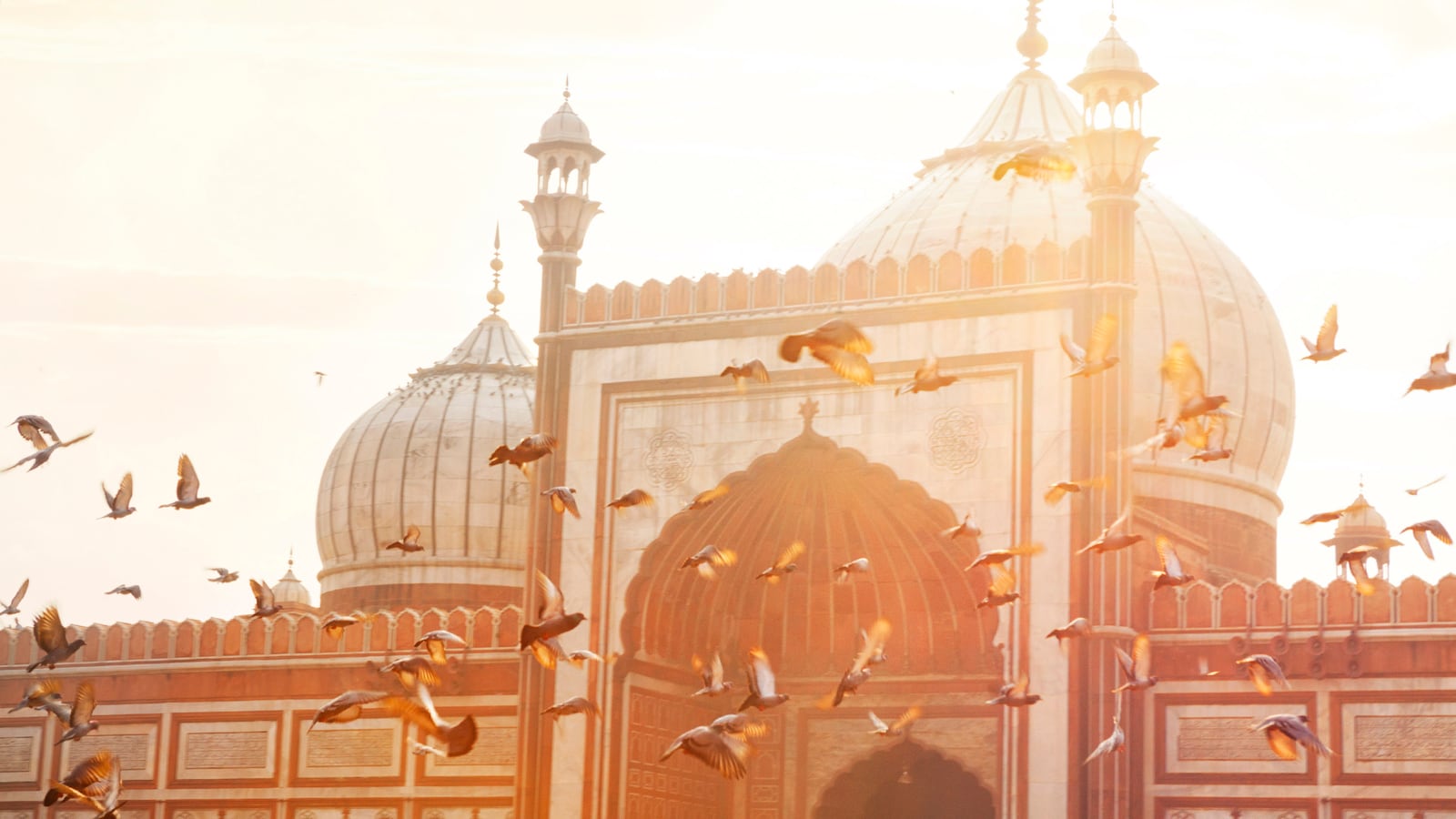 210820-grace-delhi-tease_vre4ms