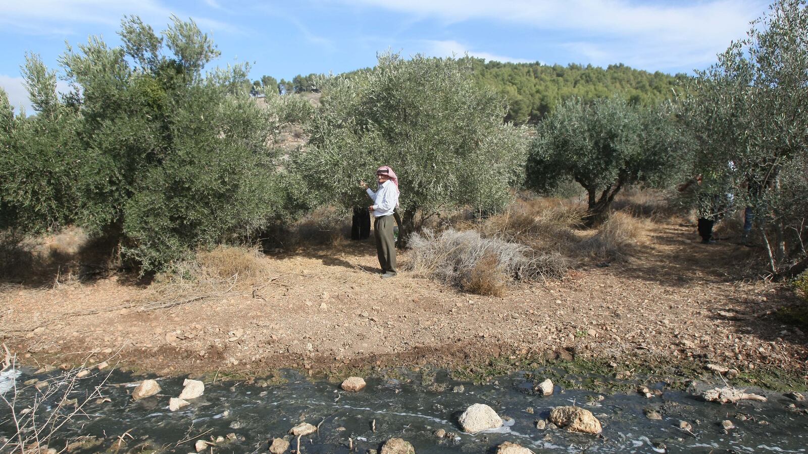 articles/2012/08/21/the-settlement-movement-and-the-environmental-card/west-bank-sewage-openz_x6xfep