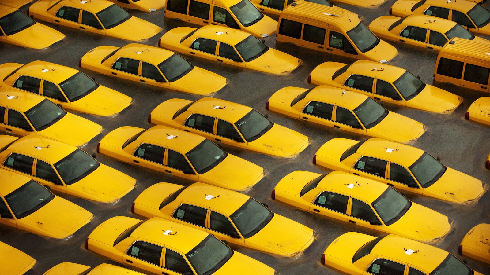 articles/2012/11/13/sandy-destroys-cars-spurs-used-and-new-car-market/cars-post-sandy-shapiro_vrfqcg