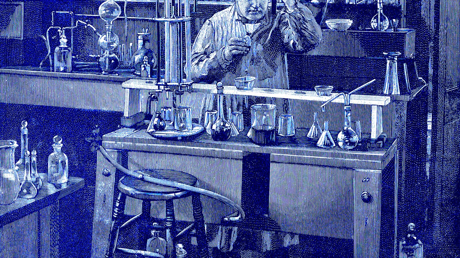 181111-rothbaum-scientist-tease_ky4cek