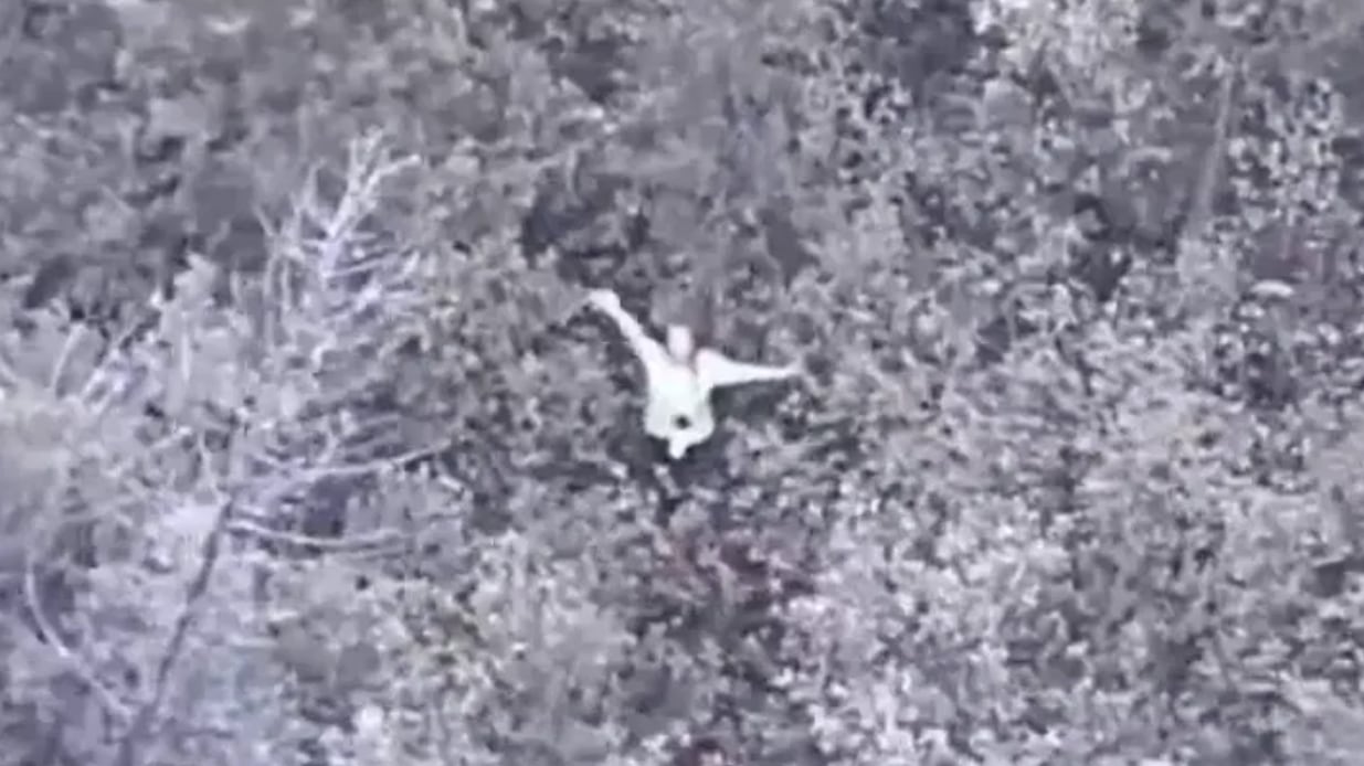 MSP Seventh District