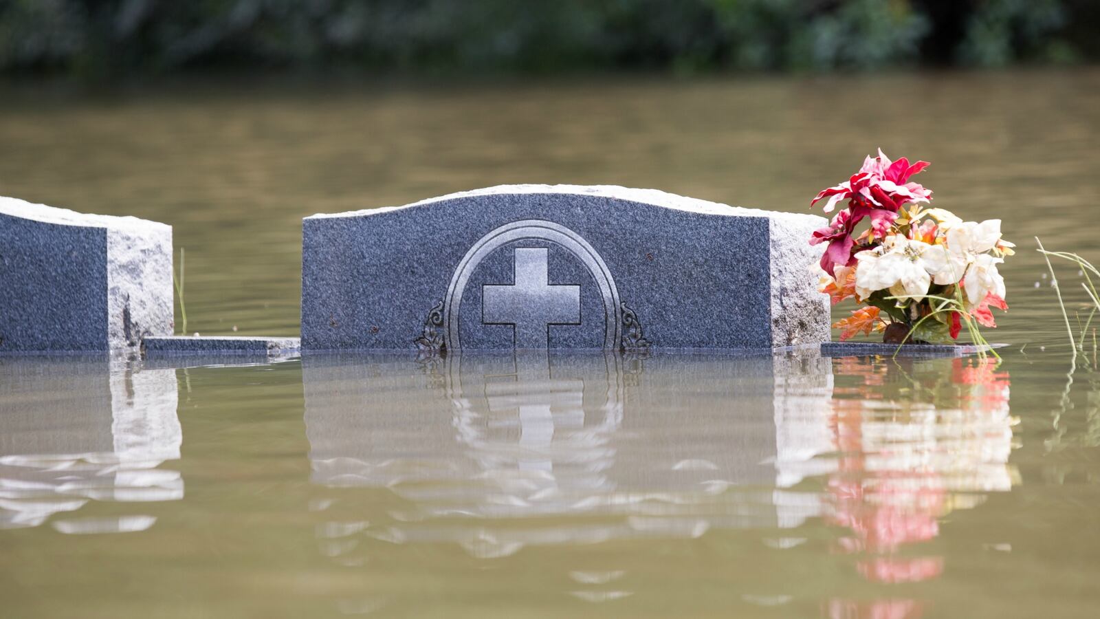 cheats/2016/08/15/four-dead-20-000-rescued-in-louisiana-flooding/160815-louisiana-flooding-cheat_vvr21w