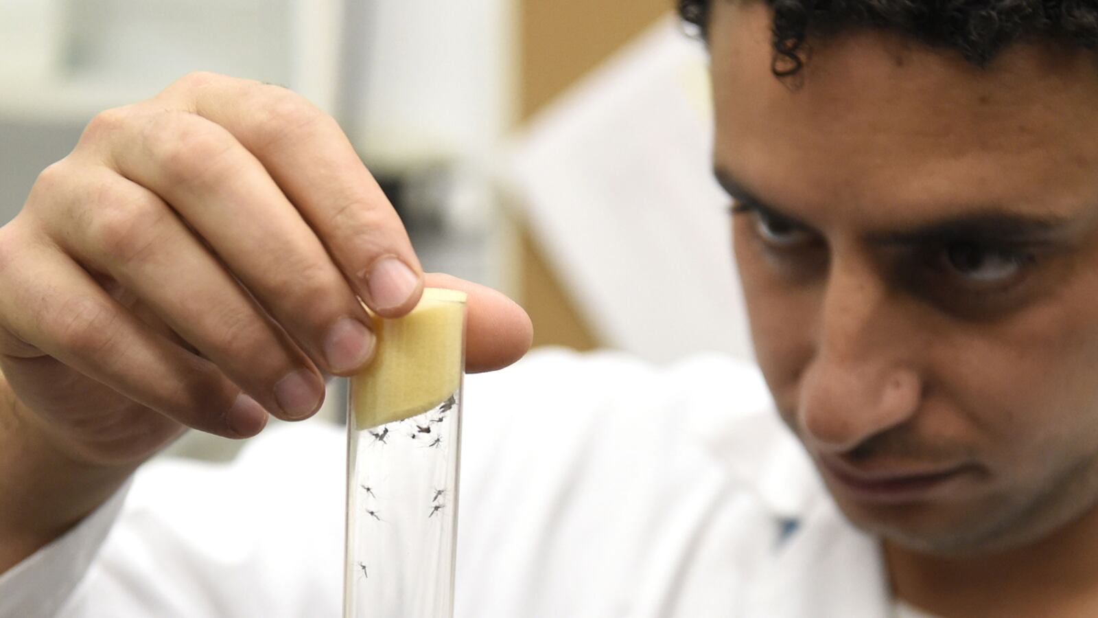 cheats/2016/06/03/zika-may-be-transmitted-by-oral-sex/160603-zika-oral-sex-cheat_aq0h0o