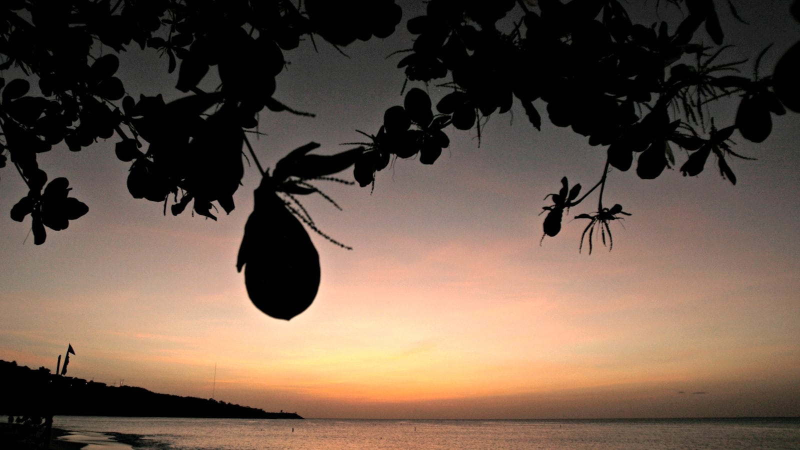 cheats/2016/01/26/autopsy-woman-in-grenada-raped-choked/160126-grenada-cheat_qvcoaw