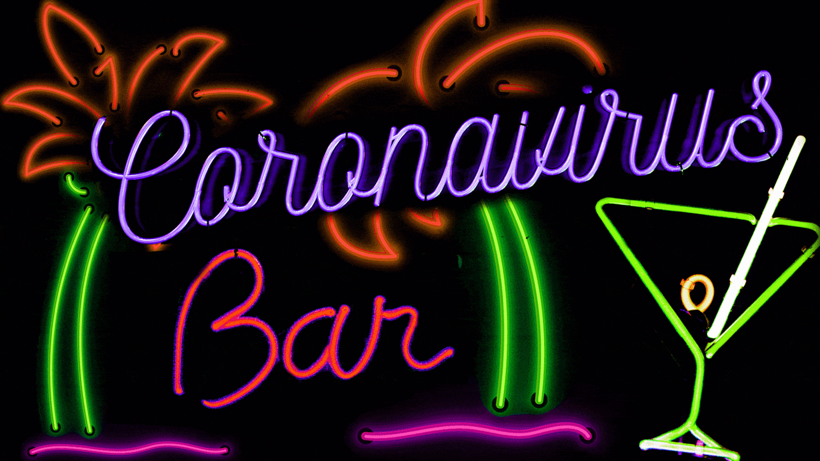 200911-florida-bars-tease_x6fv8h_tqubsv