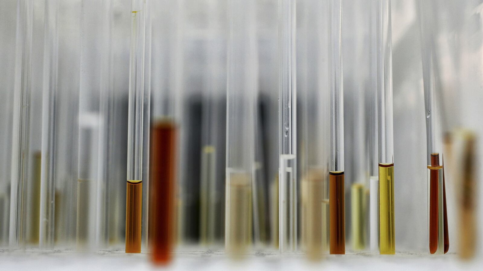 bristol-meyers-drug_zdwkjw