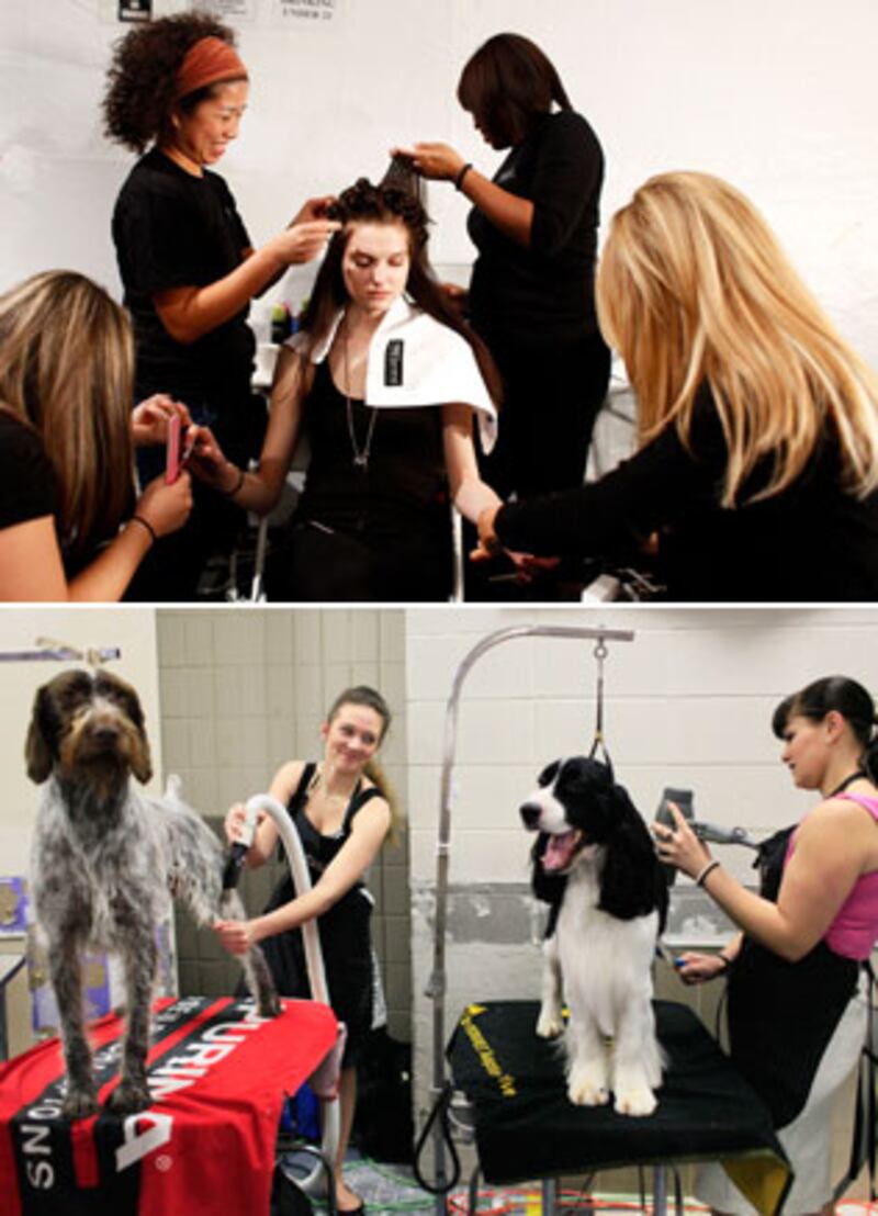 galleries/2010/02/16/westminster-fashion/westminster-fashion---2_lskgog