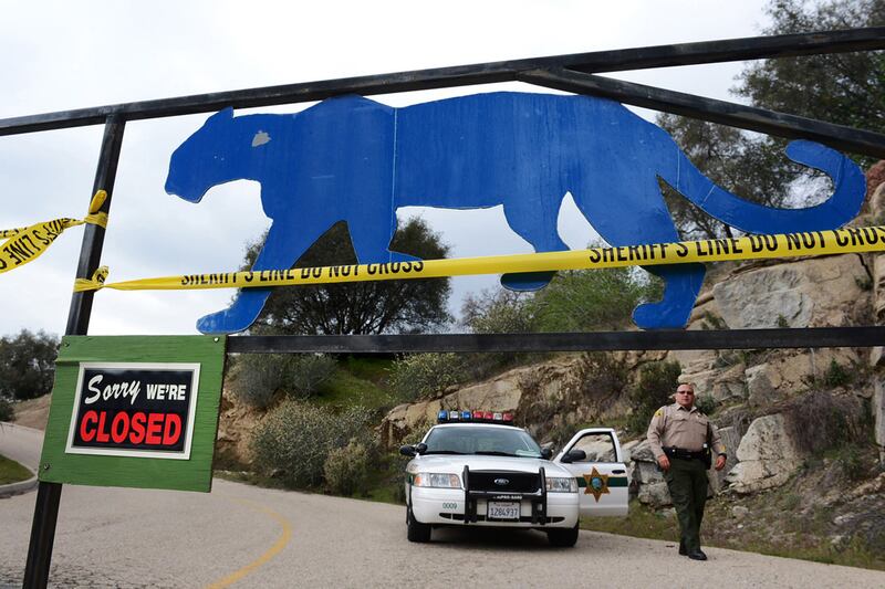 articles/2013/03/08/tragedy-in-a-lion-s-lair-sanctuary-intern-died-following-her-passion/130307-ca-lion-death-pelisek-tease_dhvbrq