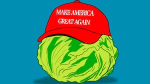 Maga lettuce illustration