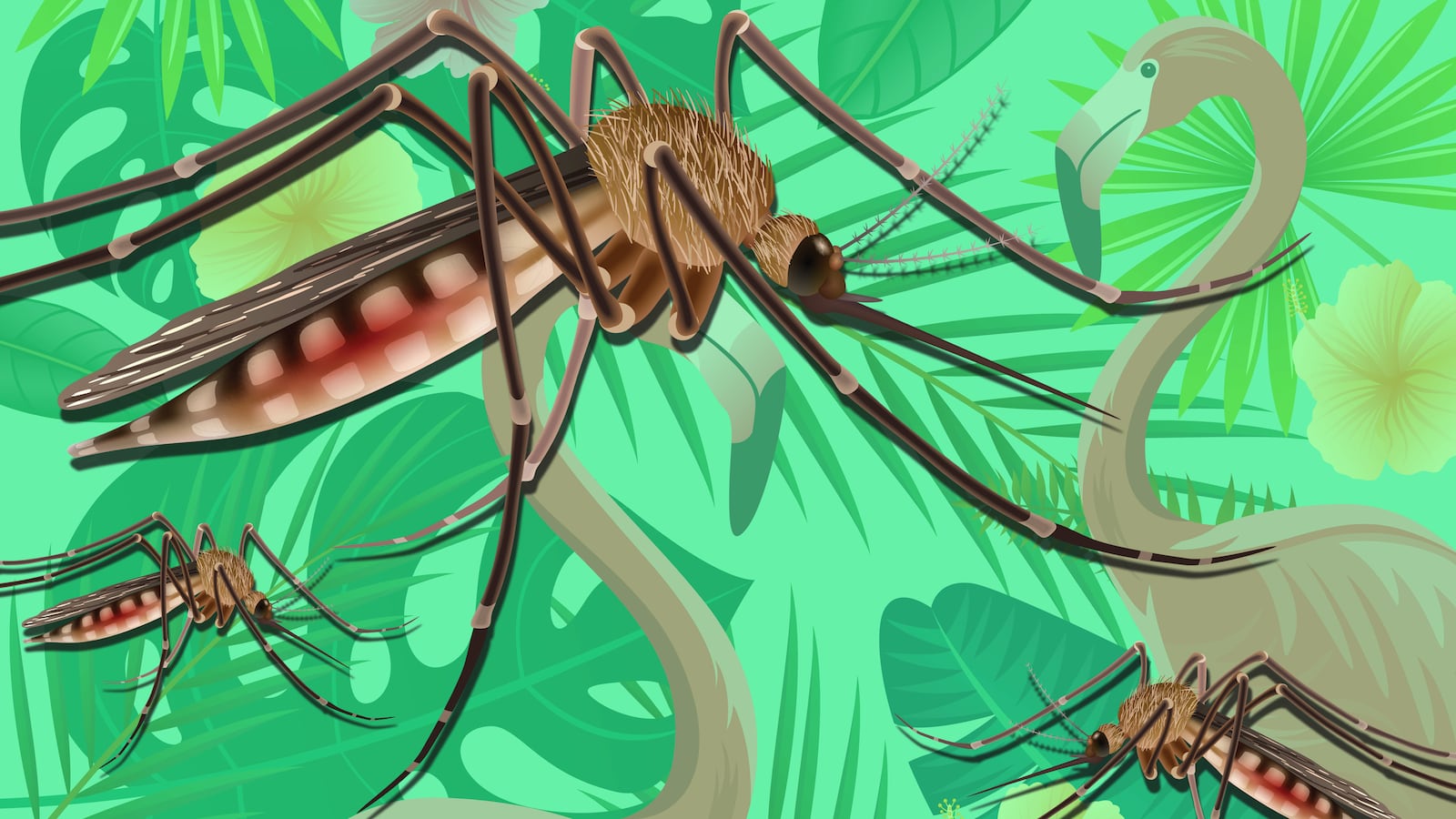 articles/2016/08/04/how-hipsters-are-spreading-zika-in-miami/160803-allen-zika-miami-tease_ys51er