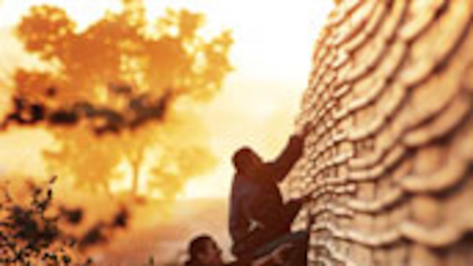 articles/2010/04/01/a-border-killing-becomes-political/sterling-border-killing_91780_qiireg