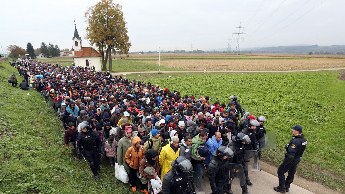 cheats/2015/11/05/eu-migrant-arrivals-boost-economy/151105-migrant-cheat_fwz2dw