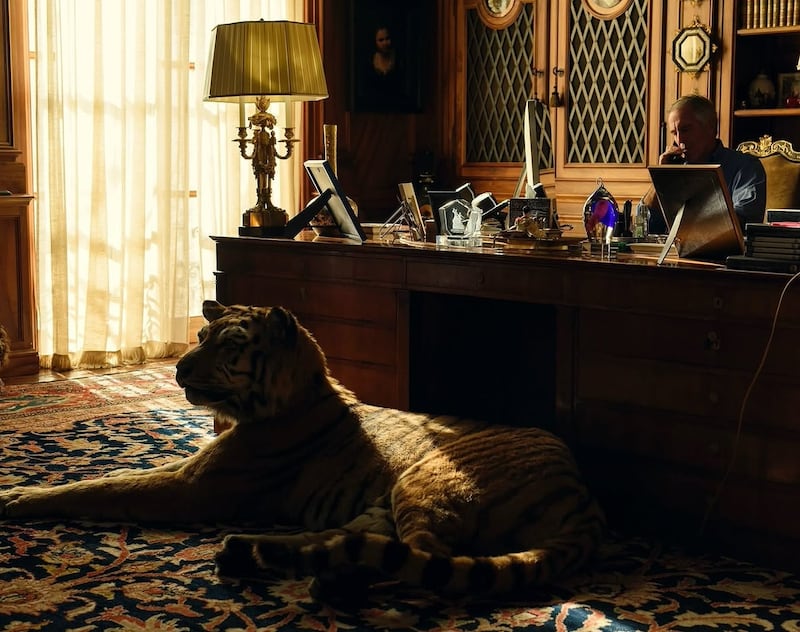 Photo of a taxidermied tiger at Jeffrey Epstein's residence