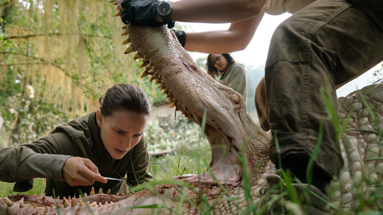 natalie portman annihilation adam rutherford hox genes genetics the shimmer jennifer jason leigh tessa thompson josie radek biology gene mutation oscar isaac kane alex garland science consultant ex machina crocodile sci fi