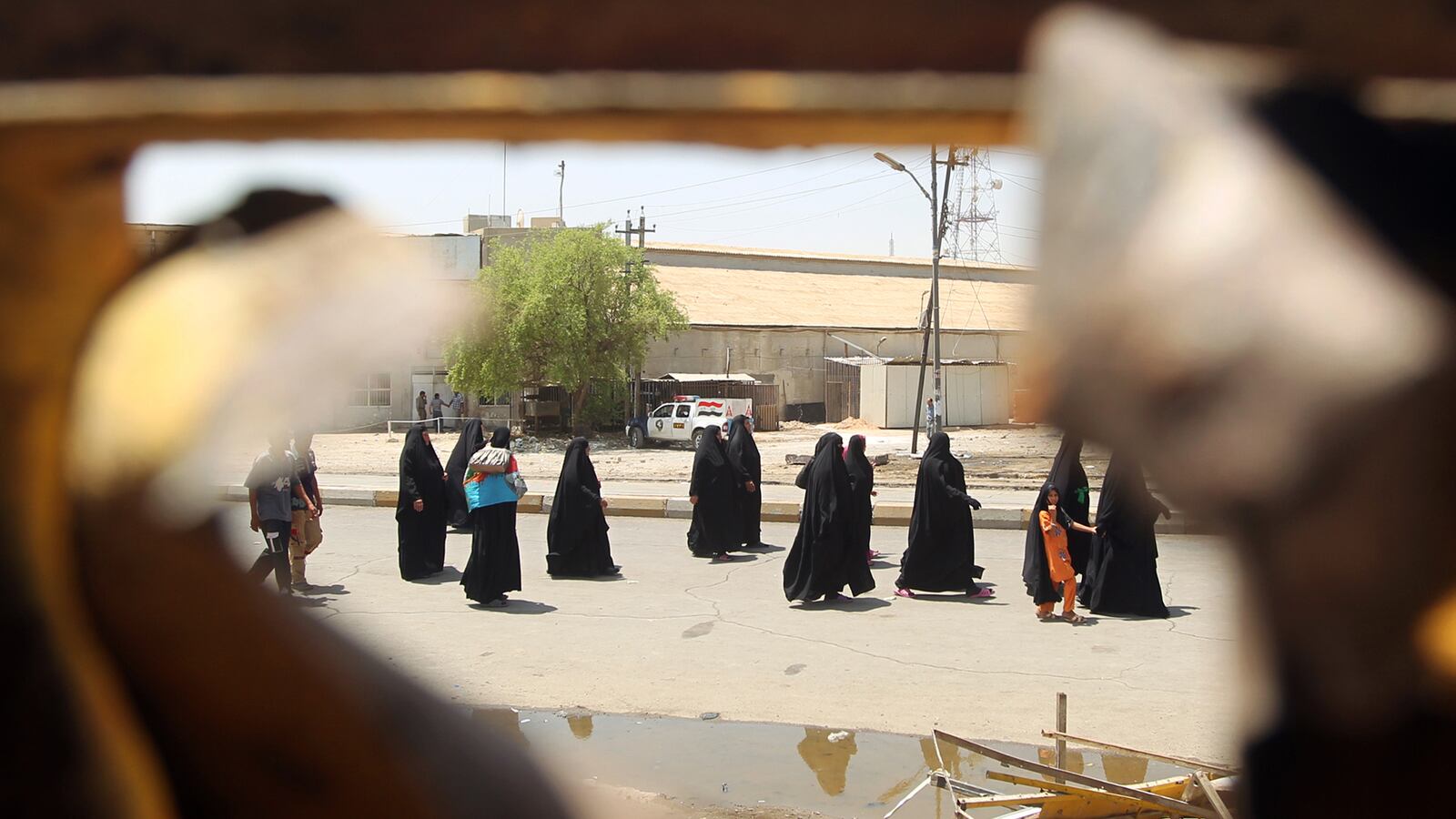 cheats/2012/06/13/car-bombs-kill-63-in-iraq/iraq-car-bombs-cheat_h6zjgf