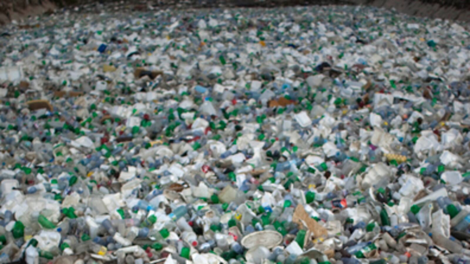 cheats/2010/11/20/haitis-garbage-divers-struggle-against-cholera/haiti-garbage_ofpyzi