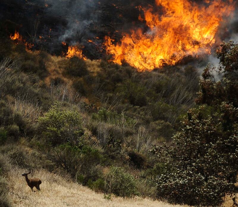 galleries/2013/05/03/inferno-rages-in-southern-california-photos/calif-fire-04_qyu1oj