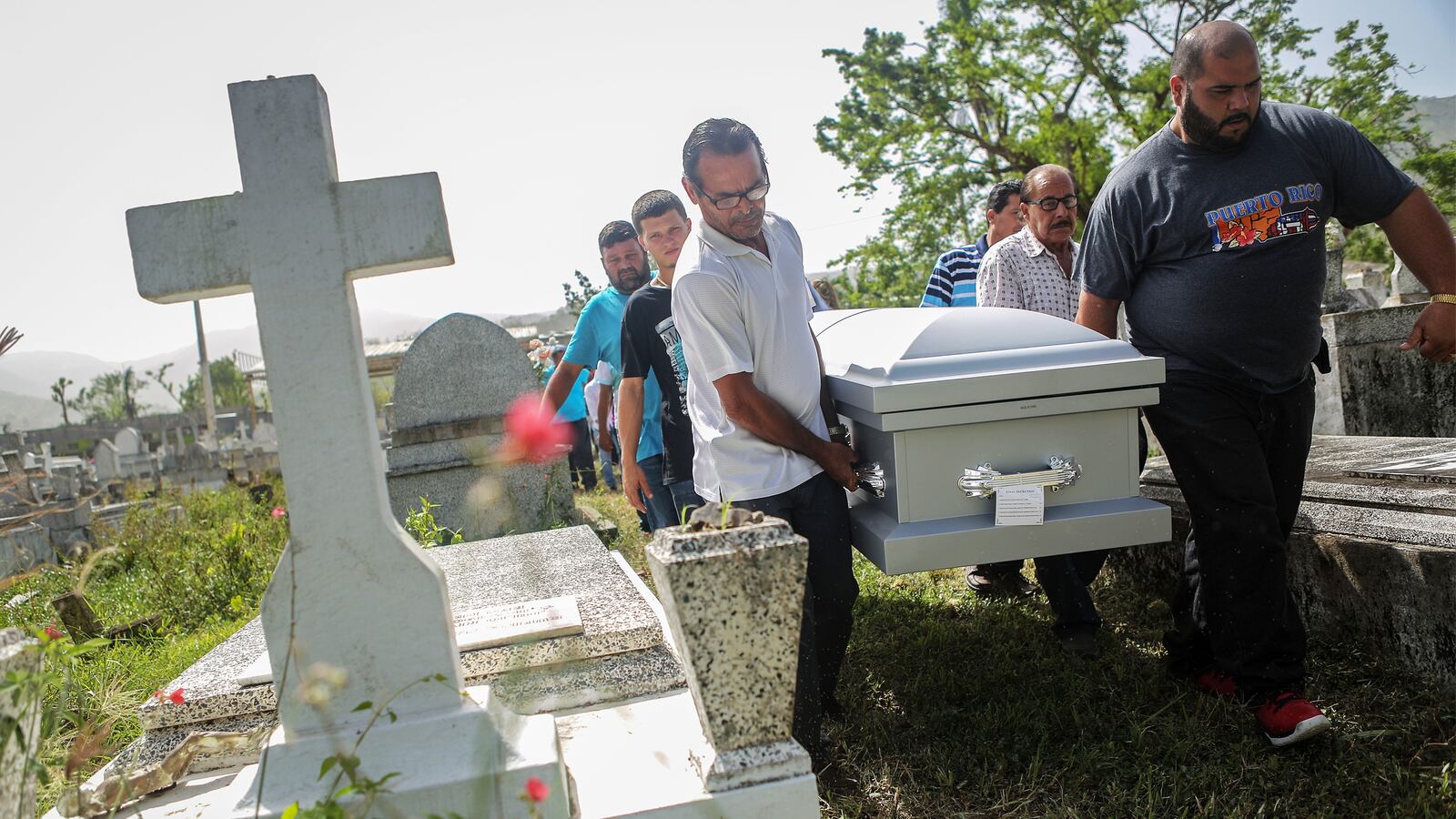 180828-Albert-pr-hero_yaybne