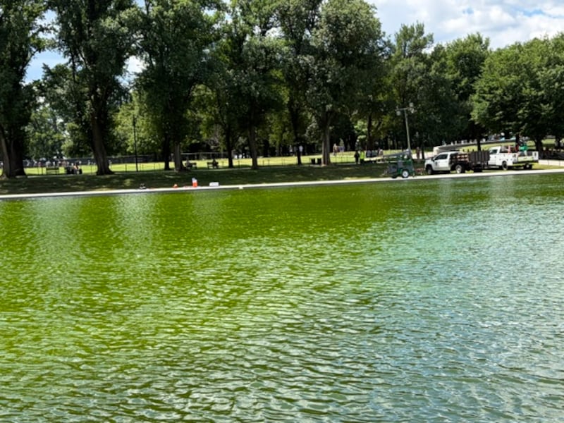 The Reflecting Pool at the Lincoln Memorial turned a bright shade of green as crews struggled to remove algae after it was recently renovated.
