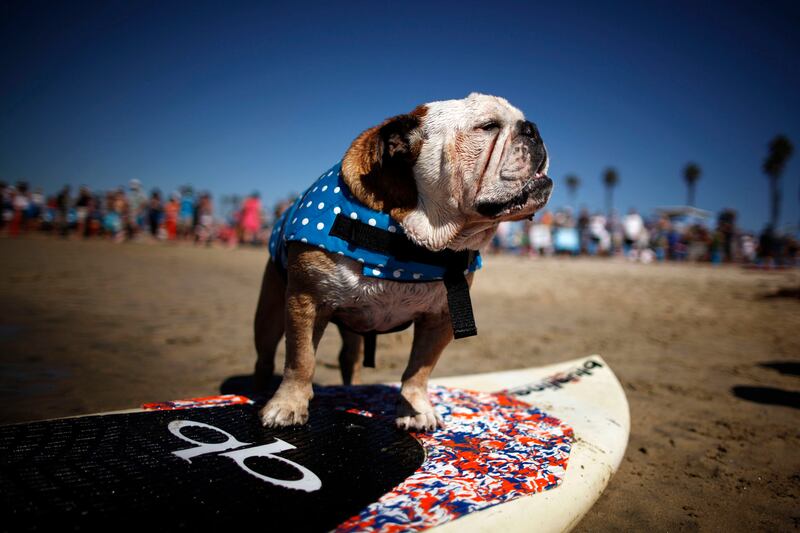galleries/2014/07/04/most-popular-us-beaches-from-ocean-city-to-honolulu-photos/2014-most-popular-beaches-9_e9wpex